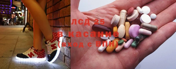 PSILOCYBIN Верея