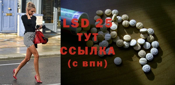 PSILOCYBIN Верея