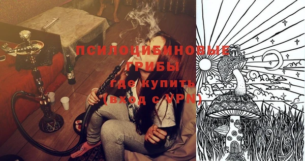 PSILOCYBIN Верея