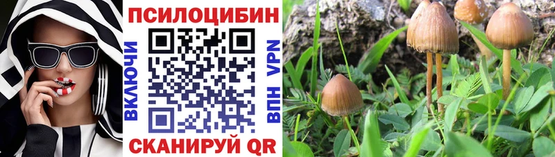 Галлюциногенные грибы Magic Shrooms  Чайковский 